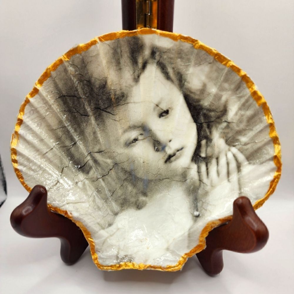 SCALLOPED FAN SHELL 